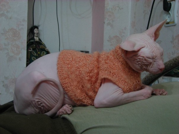 Девочки рукодельницы! Кто-нибудь вяжет на заказ ?