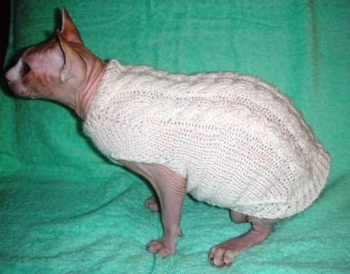 Девочки рукодельницы! Кто-нибудь вяжет на заказ ?