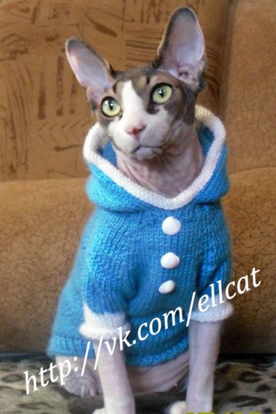 Девочки рукодельницы! Кто-нибудь вяжет на заказ ?