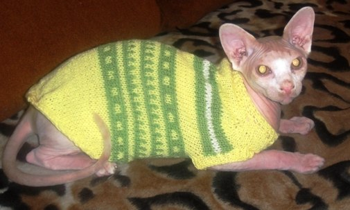 Девочки рукодельницы! Кто-нибудь вяжет на заказ ?