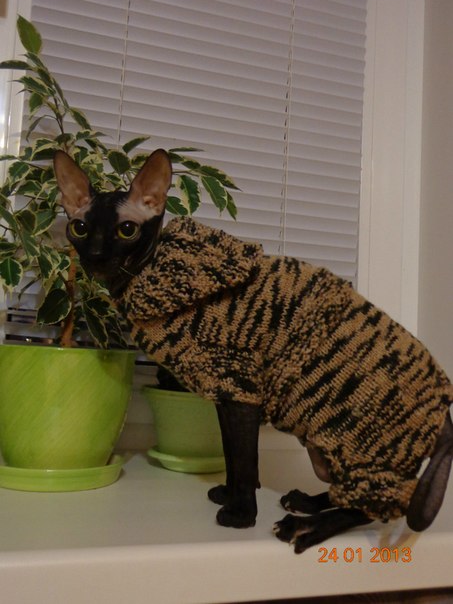 Девочки рукодельницы! Кто-нибудь вяжет на заказ ?