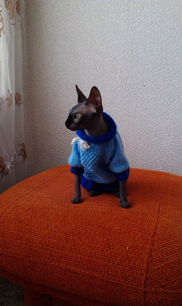 Девочки рукодельницы! Кто-нибудь вяжет на заказ ?