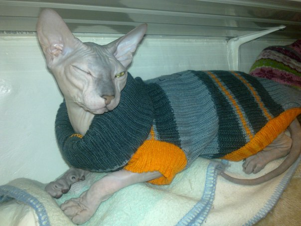 Девочки рукодельницы! Кто-нибудь вяжет на заказ ?