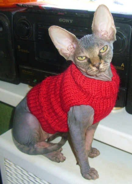 Девочки рукодельницы! Кто-нибудь вяжет на заказ ?