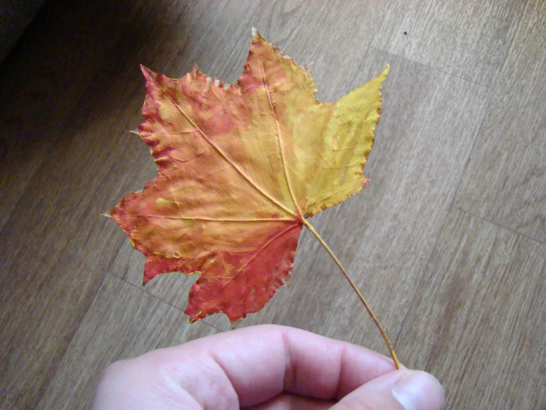 Отпечатки листочков и кораблики