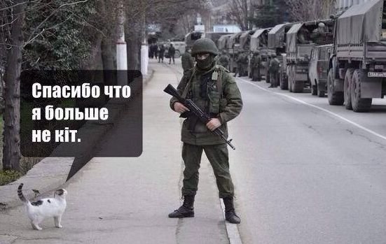 fb399acce1a793bb4df0757c0c37d84b.jpg