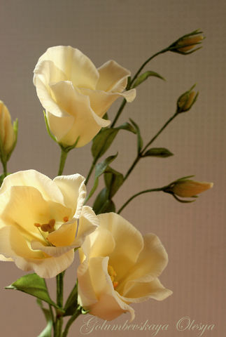 Курсы по сахарной флористике Олеси Голумбевской.