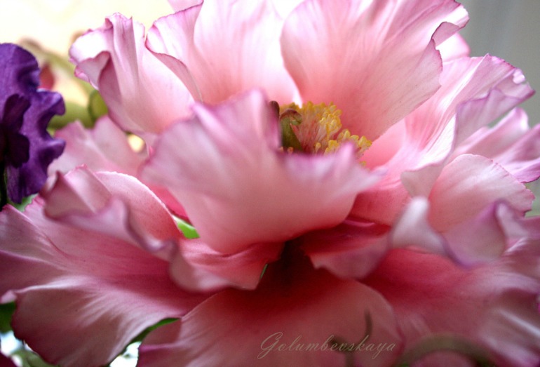 Курс по сахарной флористике от Олеси Голумбевской! Второй набор.