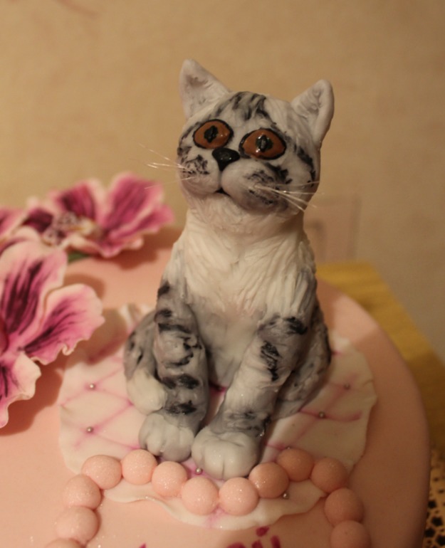 Шотландская прямоухая)