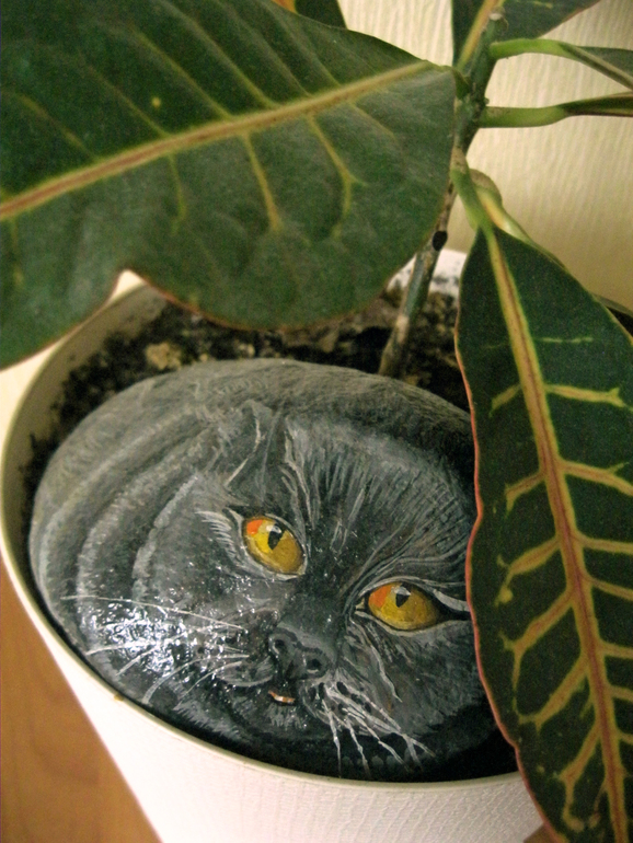 мудрые совы, хитрые кошки