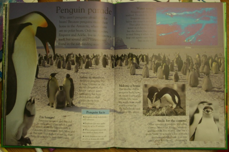 Наше новое увлечение