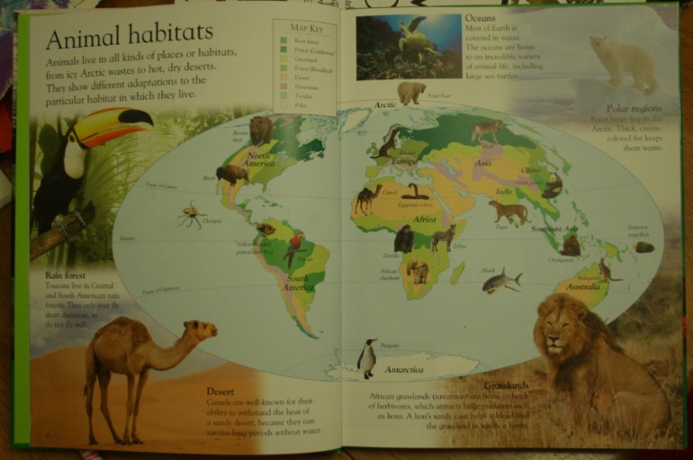 Наше новое увлечение