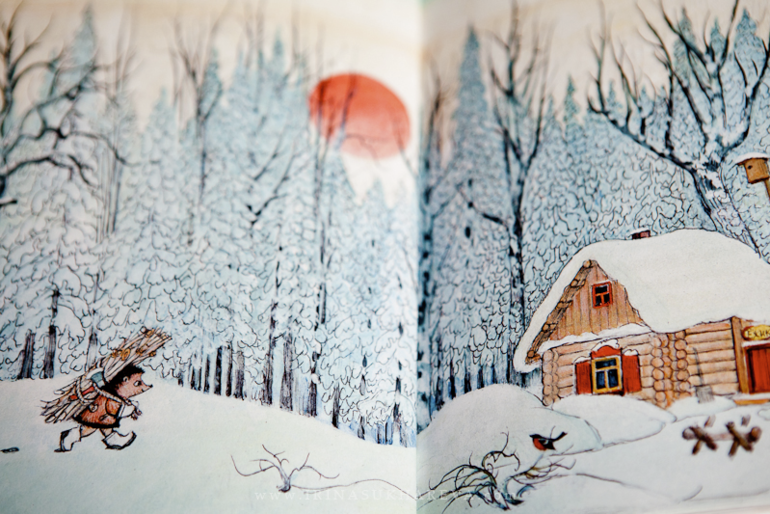 Зимние книги, которые живут в нашем доме.