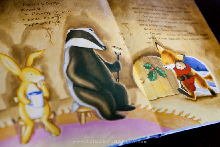 Зимние книги, которые живут в нашем доме.