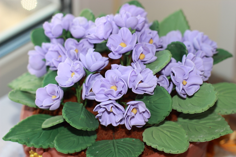 А-ля фиалки)