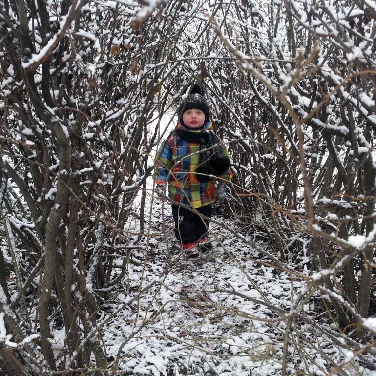 ЗИМА ПРИШЛА