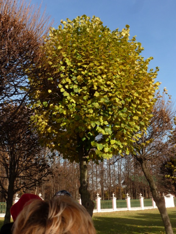 9ccda310ef56e26b0f3d45813a61b7ee.jpg