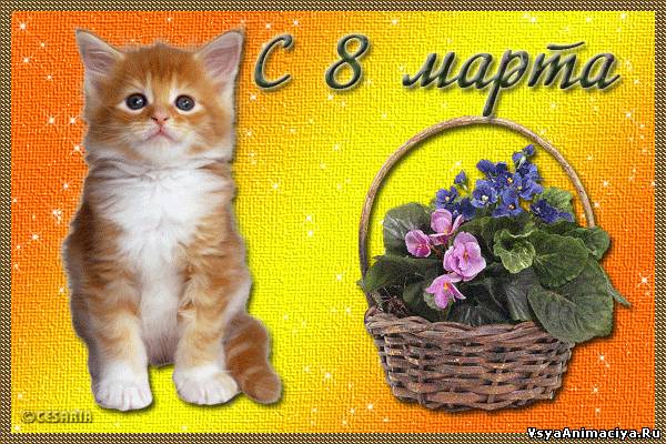 37ce9e3984c8319ce41f8685aa88a22f.jpg