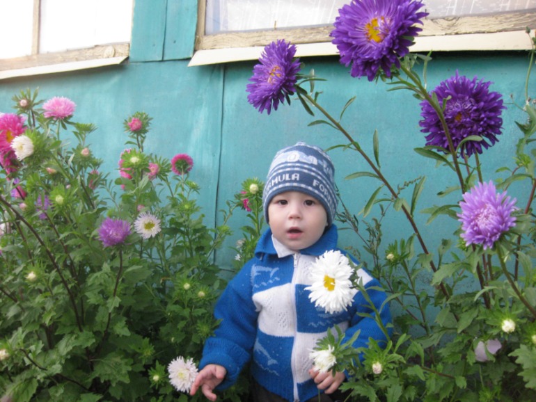 Наш летний фотоотчет!