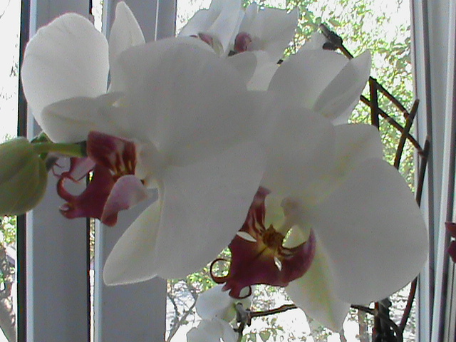 Так бывает ?