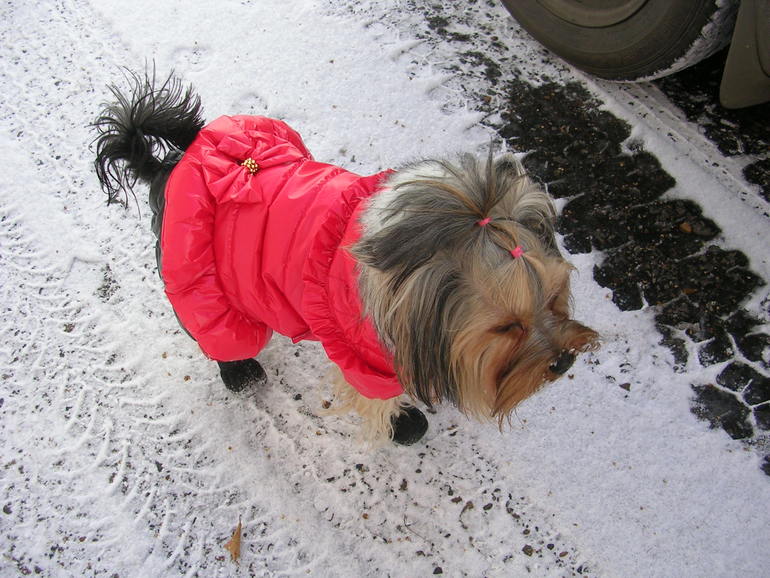 Зимняя фотосессия!