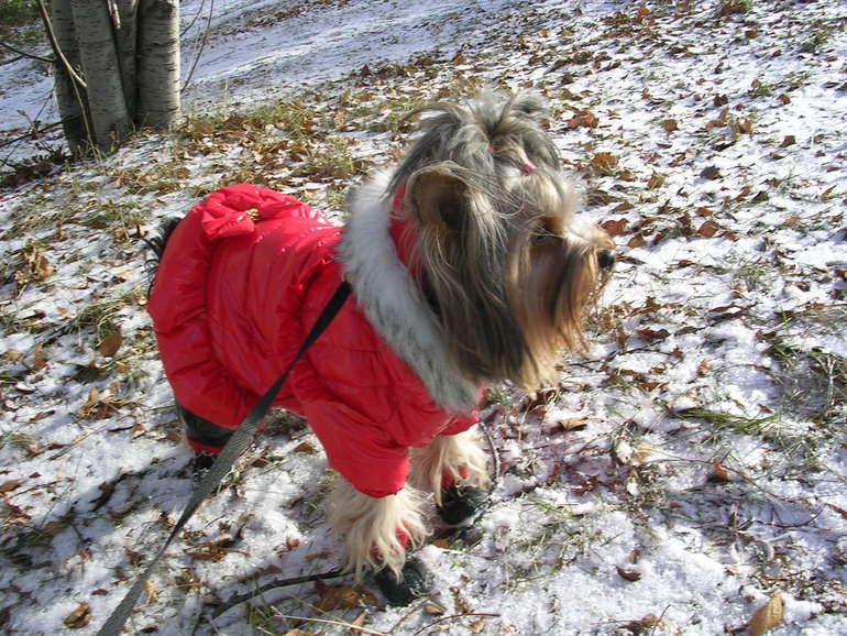 Зимняя фотосессия!