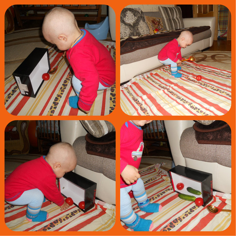 Четвертый день в Огородии....