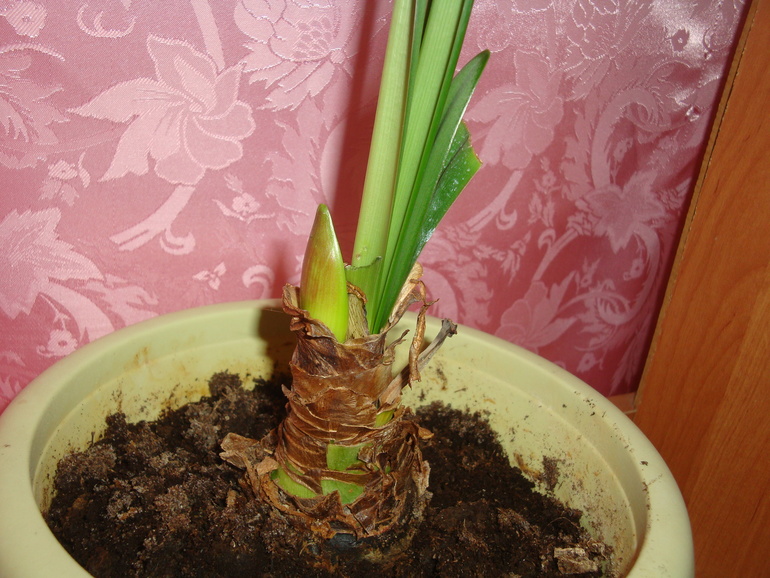 Покой нам только снится...