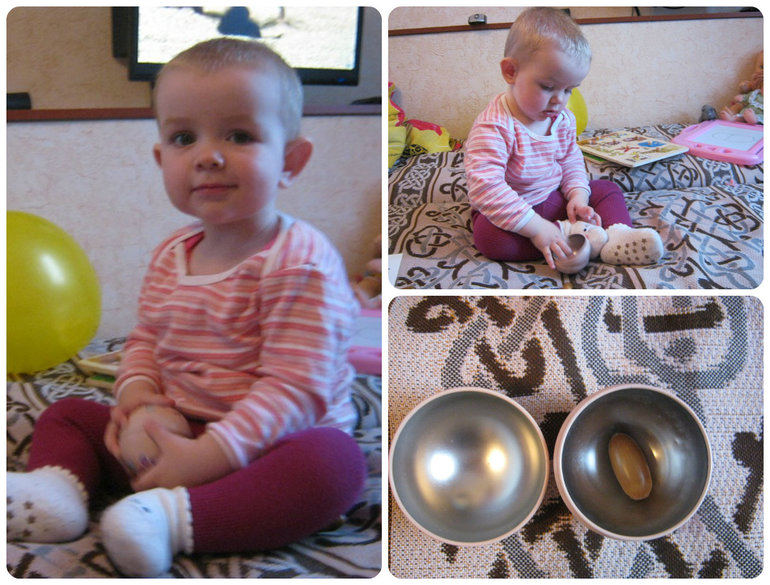 ТН Объекты природы День 4 Желудь