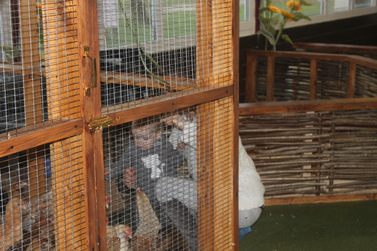 Контактный зоопарк "Жили у бабуси"