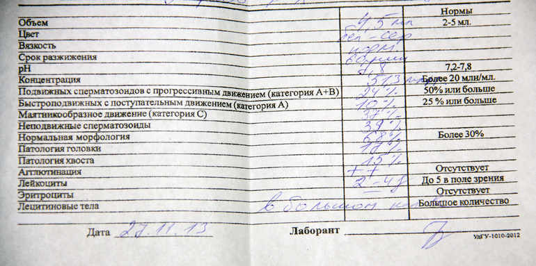 Девочки, гляньте СГ, пожалуйста!