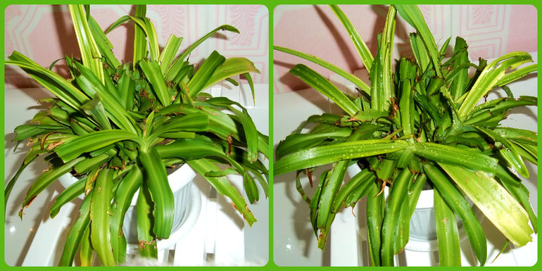 Взлет 68. День 11.