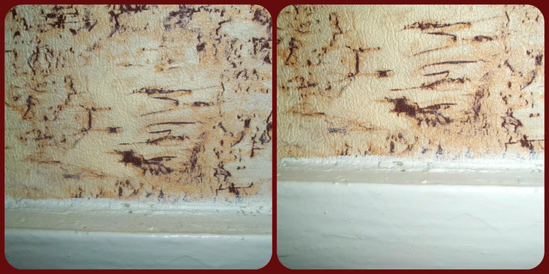 Взлет 68. День 19.