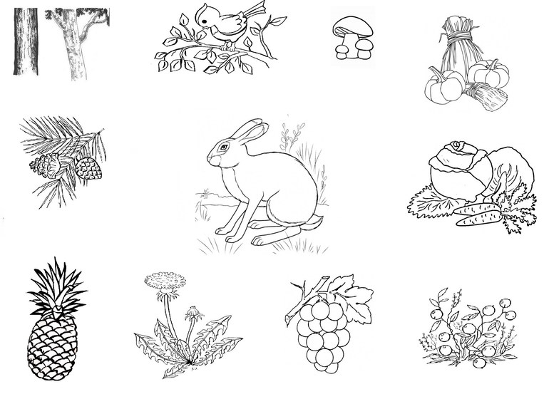 Колобок и другая выпечка