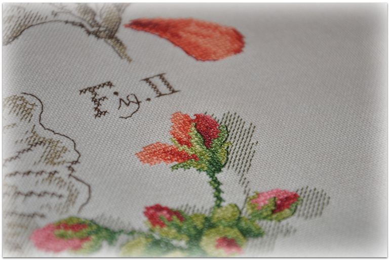 Герань, Véronique Enginger