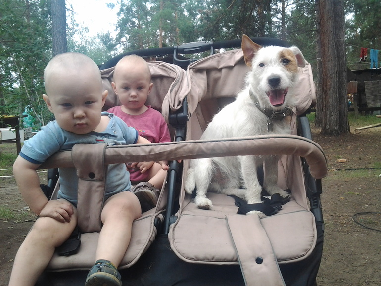 Длинный рассказ про нашего питомца