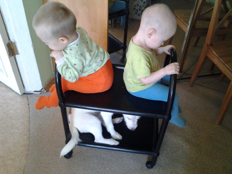 Длинный рассказ про нашего питомца