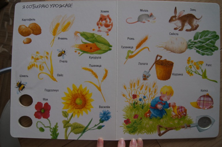 Мир вокруг На ферме