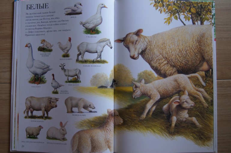 Большой атлас животных