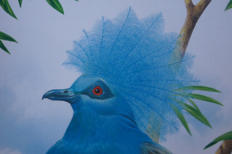 Большой атлас животных