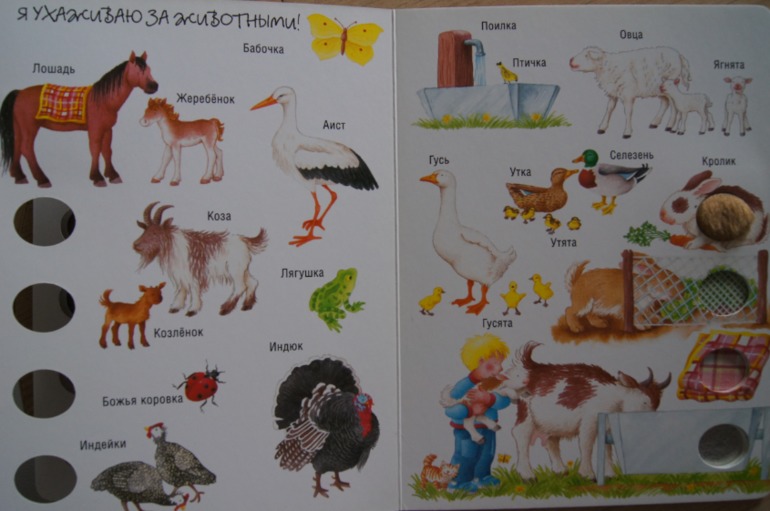 Мир вокруг На ферме