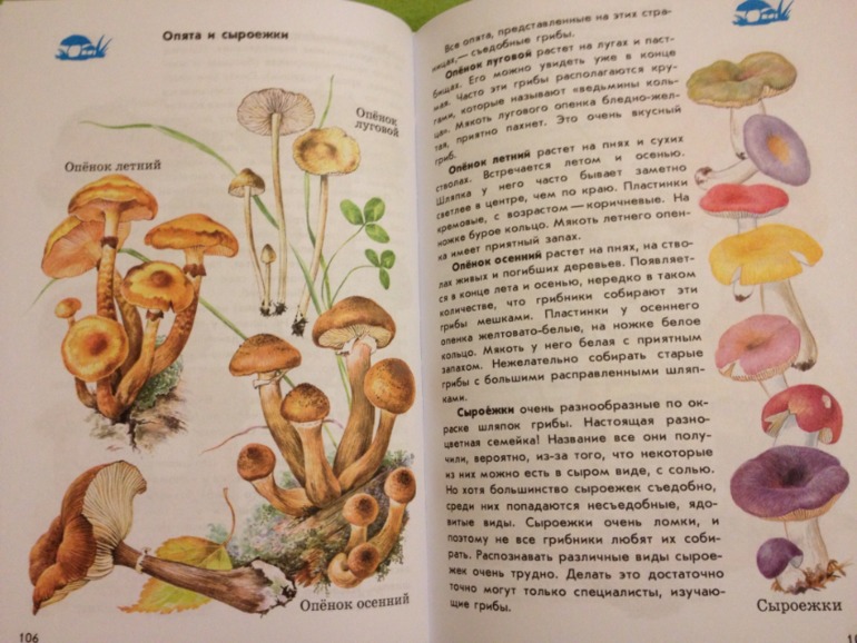 Пополнение ;)