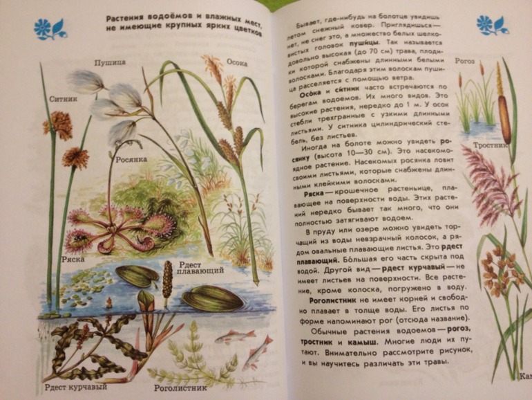 Пополнение ;)