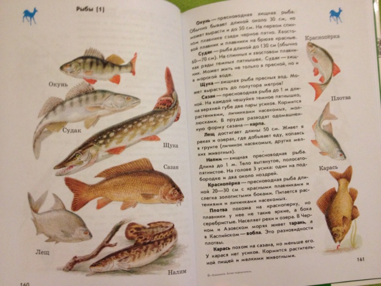 Пополнение ;)