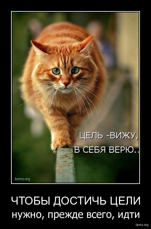 3cd6720536e84134c85d56e5b3964f11.jpg
