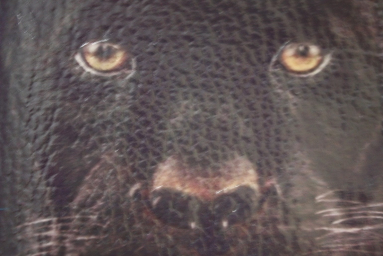 Декупаж на коже...