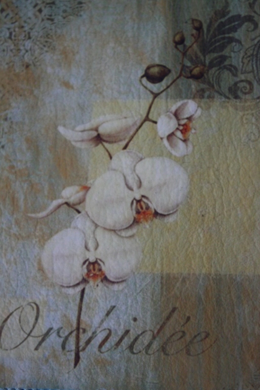 И снова они....