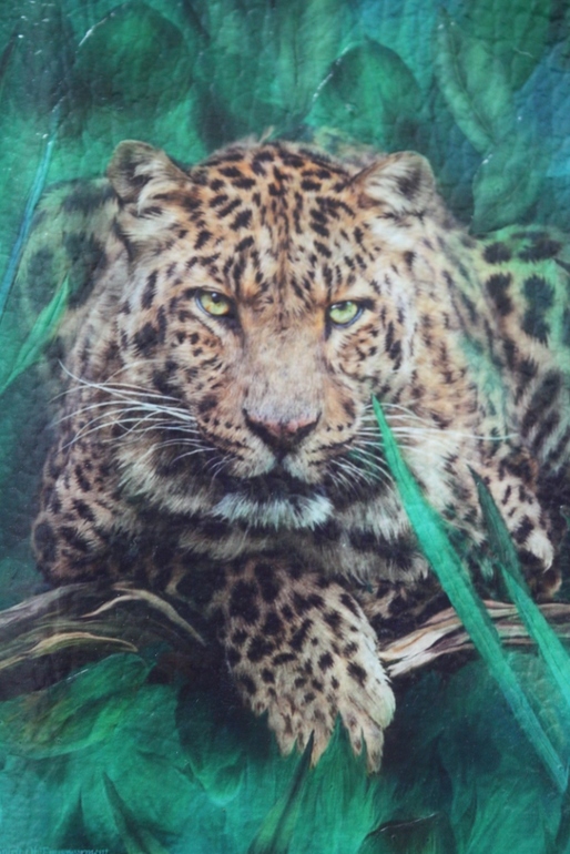 И снова они....