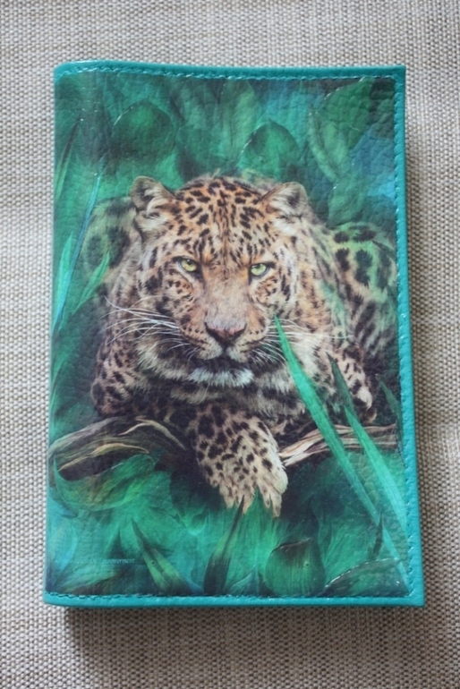 И снова они....