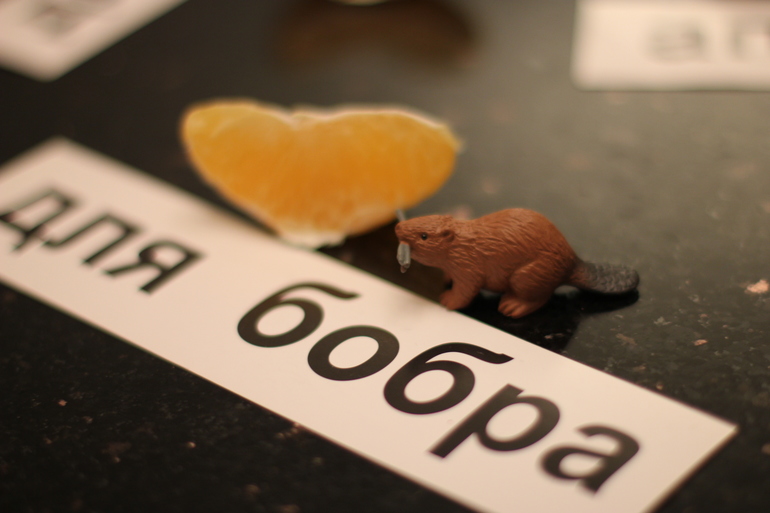 букварь с пеленок